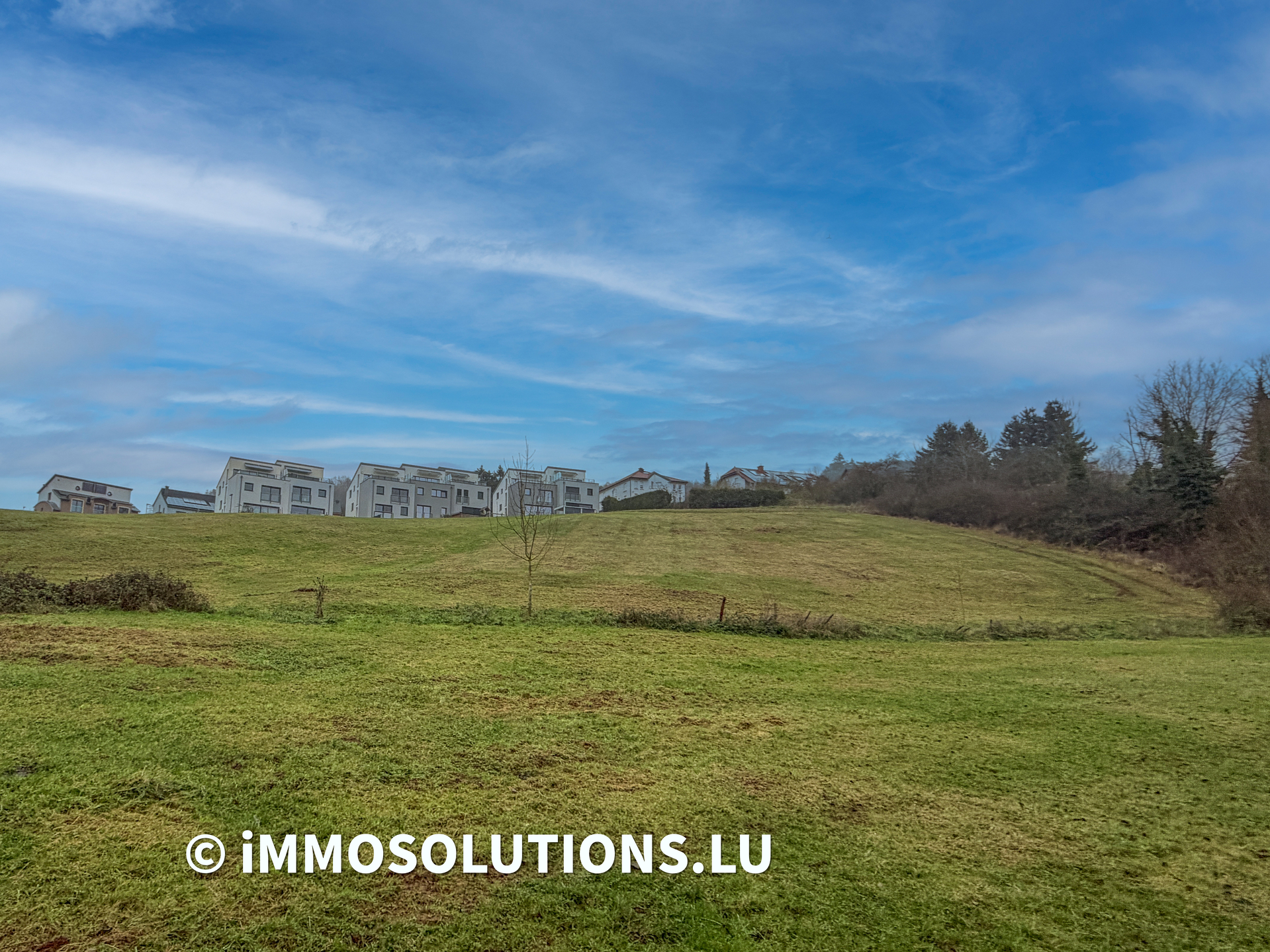 Terrain — Schieren - photo 2